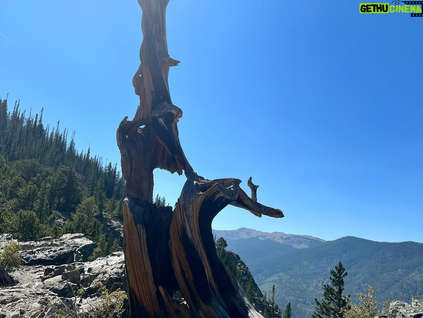 Kristen Renton - 391 Likes - Operation “countdown ‘till 40” was officially a success!! What an amazing way to spend the last bit of my 30’s… hiking in Colorado, coming face to face with a very, VERY large Moose (and not dying) and having dinner in the oldest building in Colorado. I am only lucky lady ☺️ #ColoradoHasMyHeart #HappyGirl #Birthday #Family #HappiestWhenImOutdoors #Dillion #Frisco #Breckenridge #10k #ThankGodTheMooseDidntKillMe