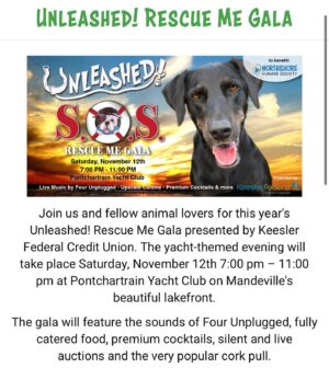 Kristen Renton Instagram - I am so excited to announce I will be hosting this years “Unleashed! Rescue Me Gala” for the @northshorehumanesociety on November 12th 🥰🐾Please join myself and @ncmanning for a night of food, fun, cocktails and auctions- all to save some amazing animals 🐶🐱🐭🐹🐰 Tickets are on sale now, link in bio!! #AnimalRescue #HumaneSociety #AdoptDontShop #Charity #GoodTimes