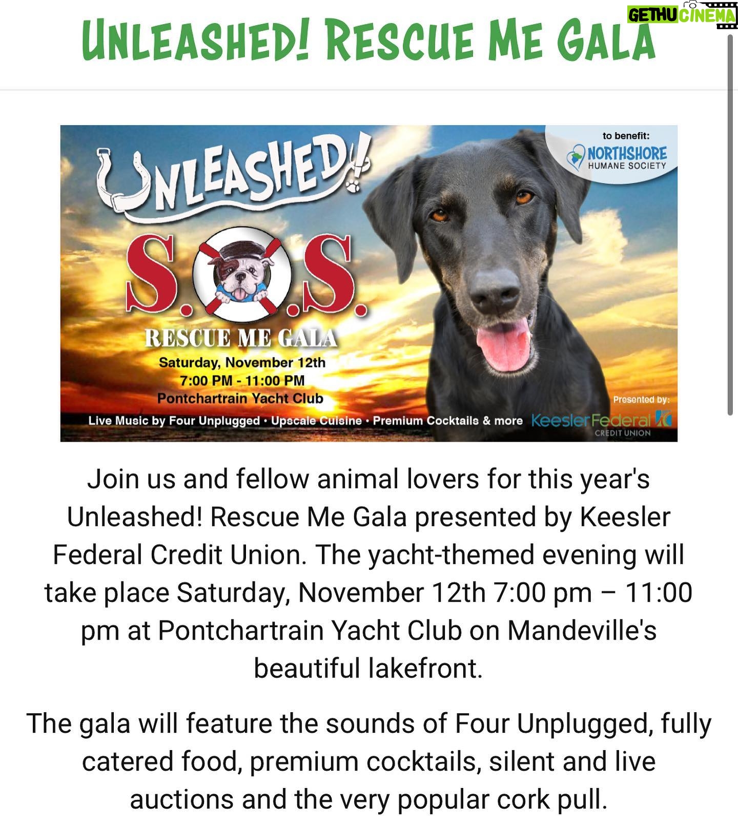 Kristen Renton - 133 Likes - I am so excited to announce I will be hosting this years “Unleashed! Rescue Me Gala” for the @northshorehumanesociety on November 12th 🥰🐾Please join myself and @ncmanning for a night of food, fun, cocktails and auctions- all to save some amazing animals 🐶🐱🐭🐹🐰 Tickets are on sale now, link in bio!! #AnimalRescue #HumaneSociety #AdoptDontShop #Charity #GoodTimes