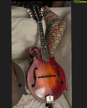 Kristian Matsson Instagram - They let me keep my underwear, at least. Here are the stolen instruments to keep an eye out for if they pop up somewhere in Europe, The North Pole or wherever. The @hollowtone_guitars Tele that Krečimir built with such passion and skill, B-Bender installed by Gene Parsons himself and all, is the one that really tugs at my heart and I will be on the hunt for forever. I will play it again, god dammit. Thank you for all support, focusing on the loveliness in all of you instead of the dark cloud surrounding the bus robbery❤️ About to go and reunite with my white @hollowtone_guitars in America and slay some songs, engage the  secret beacon in it that will activate the Batman feature in the brown one. Beware, thugs. Much more gear where stolen, will post lists. Love/Kris❤️