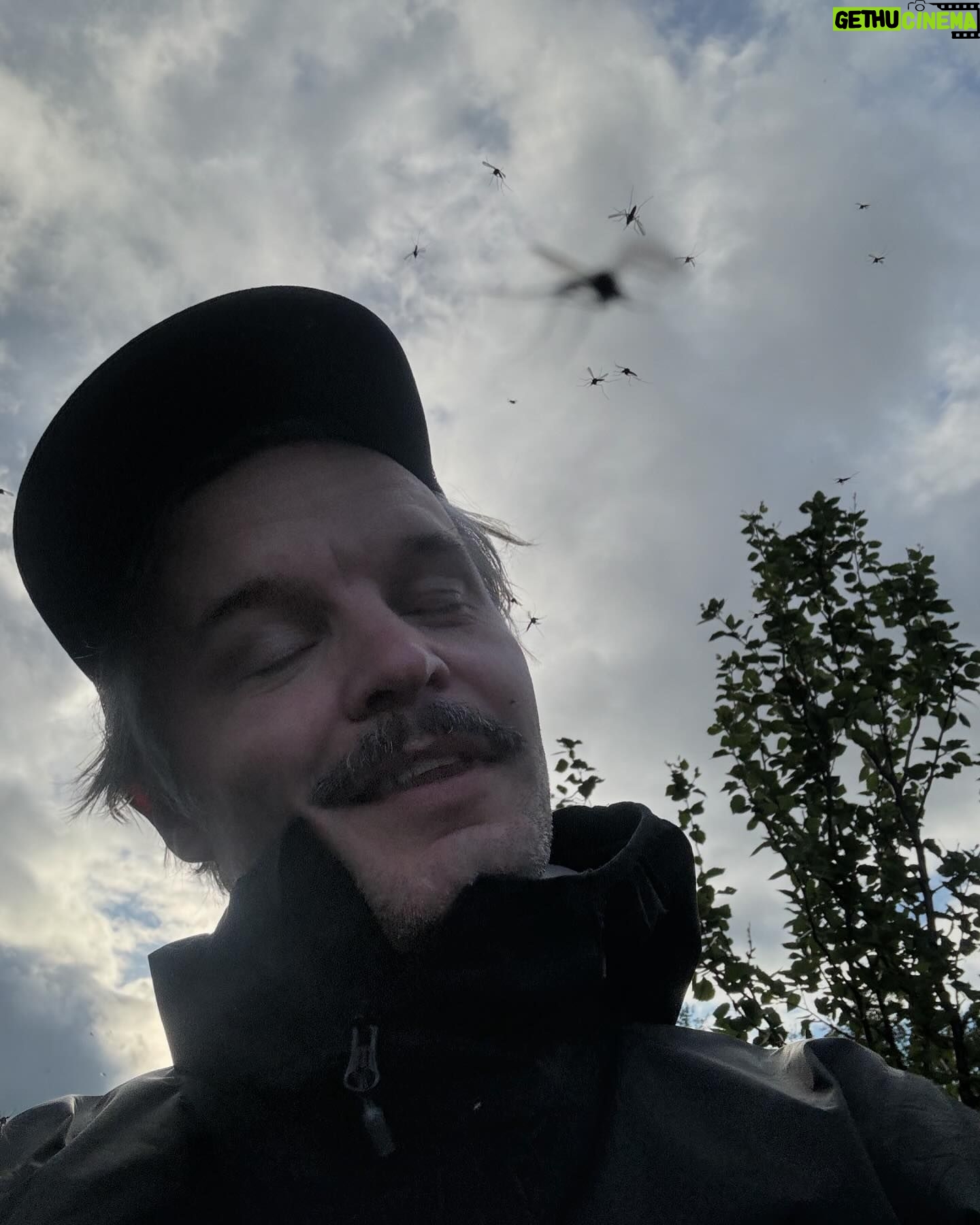 Kristian Matsson - 4K Likes - One gazillion mosquitos, gnats and horseflies couldn’t take away my love for @rolfnylinder , @jazznflyfishing and @sistabossen . Here’s from our romantic getaway week in a wicked beautiful and silly sweaty to get up mountain in northern Norway. Thank you for your madness❤️