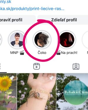 Kristína Kanátová Instagram - Kamaráti, toto je Čoko. Môj milovaný pes. Je to 4,5 ročný 13-15kg zdravý kríženec (kastrovaný). Sprevádzal ma od šteniatka. Osvojili sme si ho z útulku/dočasky, keď ho aj so súrodencami našli takmer zamrznutého na ulici v Šali.

Neviem, či som zažila niekedy niečo bolestivejšie, ale situácia v mojom živote je už nejaký čas taká, že naňho nemám potrebnú kapacitu. Časovú, priestorovú, ani energetickú. Hľadám mu preto nový domov. Ideálne niekoho, kto má pohodový životný štýl. Niekoho, kto ho bude mať rád (to je veľmi ľahké) a dá mu všetko, čo potrebuje.

Píšte mi, prosím, do DM’s len v prípade záujmu - dám vám bližšie info. S Čokovým skvelým trénerom @borismerai ho chceme odovzdať len do dobrých rúk 🙌🏼🐾

(za hejt v správach bude blok, zamykám komentárovú sekciu a žiadam aj bulvár, rešpektujte, že nechcem, aby sa tieto info a fotky šírili v akýchloľvek článkoch, ďakujem za pochopenie)