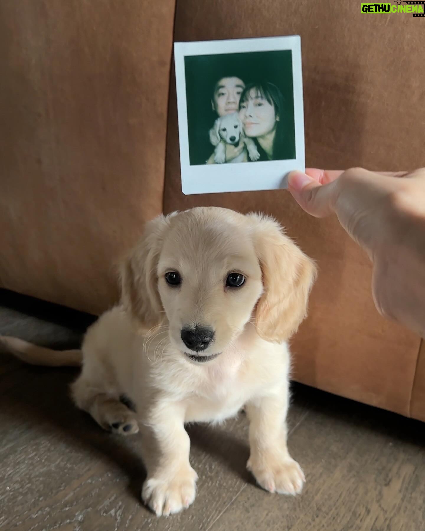 Krit Jeerapattananuwong - 270.5K Likes - ปังปัง🍞 มาสวัสดีพี่ๆอย่างเป็นทางการคับ