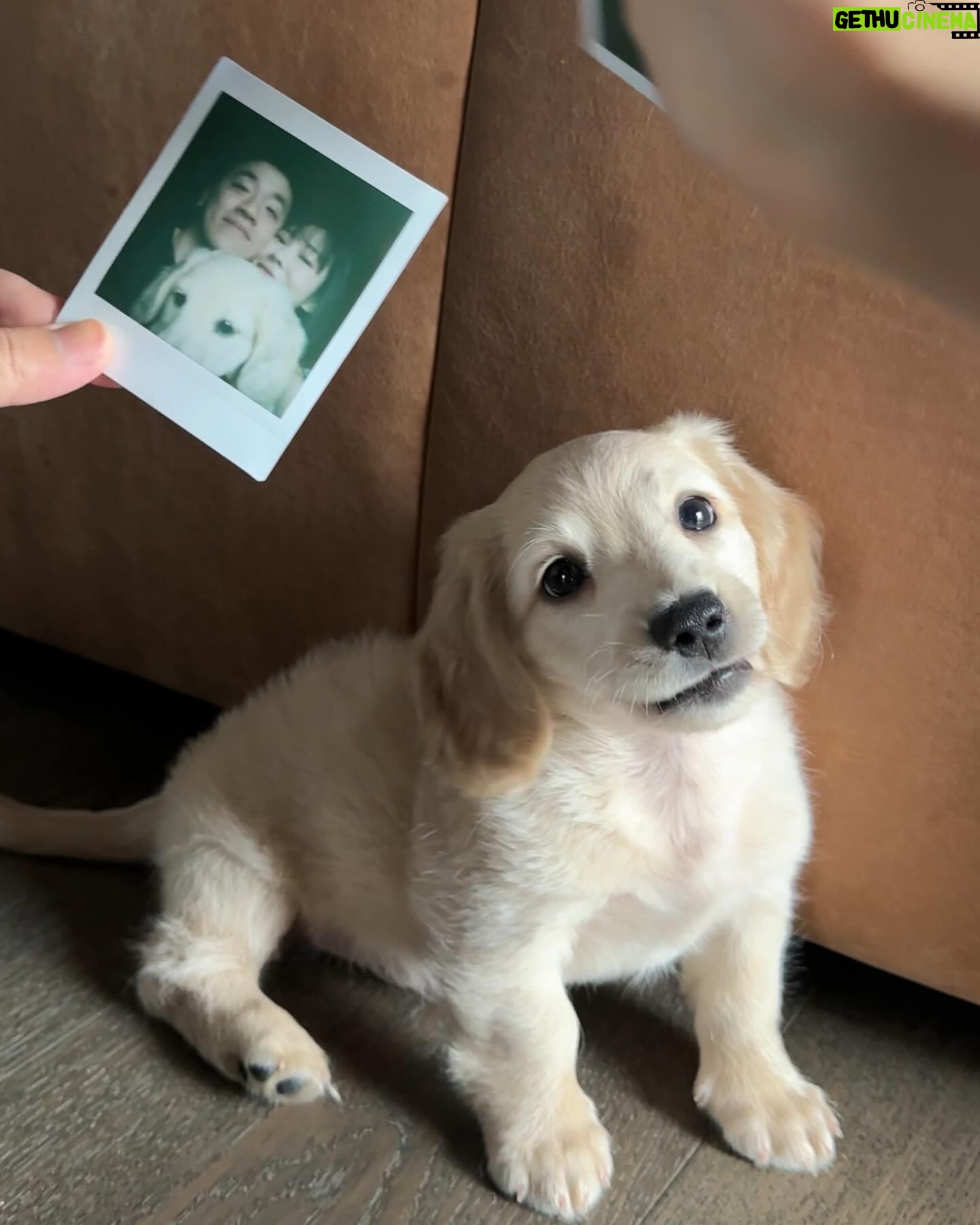 Krit Jeerapattananuwong - 270.5K Likes - ปังปัง🍞 มาสวัสดีพี่ๆอย่างเป็นทางการคับ