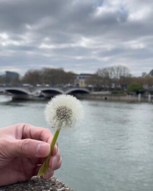 Kuan-Ting Liu Instagram - 天氣冷冷的，沿著河岸一直走，走著走著身體會暖起來，走著走著陽光有時會撒下來，天空很藍，雲很白，一朵一朵的，看著咖啡店外抽著菸曬太陽的人、塞在車陣中的人、騎腳踏車的人、騎電動滑板車的人、路邊畫畫的人、維修中的教堂、看著聽著感受著、路邊的蒲公英好圓，我喜歡跟路上遇到的人點頭微笑說你好，給我一種村子裡人跟人相處的感覺，隔壁桌的爺爺穿西裝奶奶穿洋裝還戴一條珍珠項鍊，最後他們還點了草莓冰淇淋，太可愛了，走著走著七八點了天還亮著，但大多數人都可以休息了，房子都矮矮的天空是大家的，走著走著腳痠了，走著走著羅浮宮關燈了，嘿蒙娜麗莎妳今天也可以休息了吧，雖然這次沒有看見妳，但我有看到梅西，那我們就下次見囉！