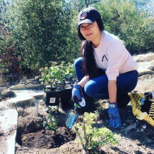 Kunjue Li Instagram - Saturday is garden day! #wallrose #myfavorite #garden #gardening #homesweethome