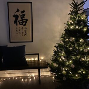 Kunjue Li Instagram - Christmas tree is up! #xmas #decoration #home #tree #chill #vibes