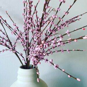 Kunjue Li Instagram - 文学
我喜欢全勇先写的东西，他的朋友圈是我期望看到的更新。我自己写的不好，在美国也没有人能懂，但每次读到好的文学时，特别是中文的，灵魂深处有什么就被触动了，轰隆隆地苏醒过来。对文学的喜好也许始于人类最初最原始的那一个意愿。几千年前，月光下篝火旁，我们围坐：来，我向你说个故事。 #文学 #literature #story #storytelling
