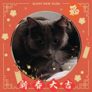 Kunjue Li Instagram - 咪咪在此祝大家龙年大吉, 新年快乐, 合家欢喜，暴富暴富！ #lunar #lunarnewyear #drag #yearofdragon #2024