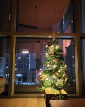 Kwak Si-yang Instagram - 🌲