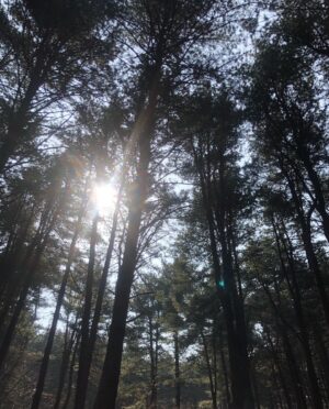 Kwon Hwa-woon Instagram - 최근