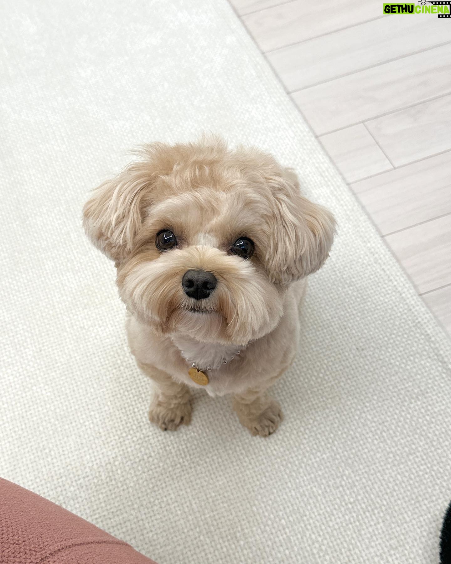 Kwon Hwa-woon - 32.7K Likes - 최근