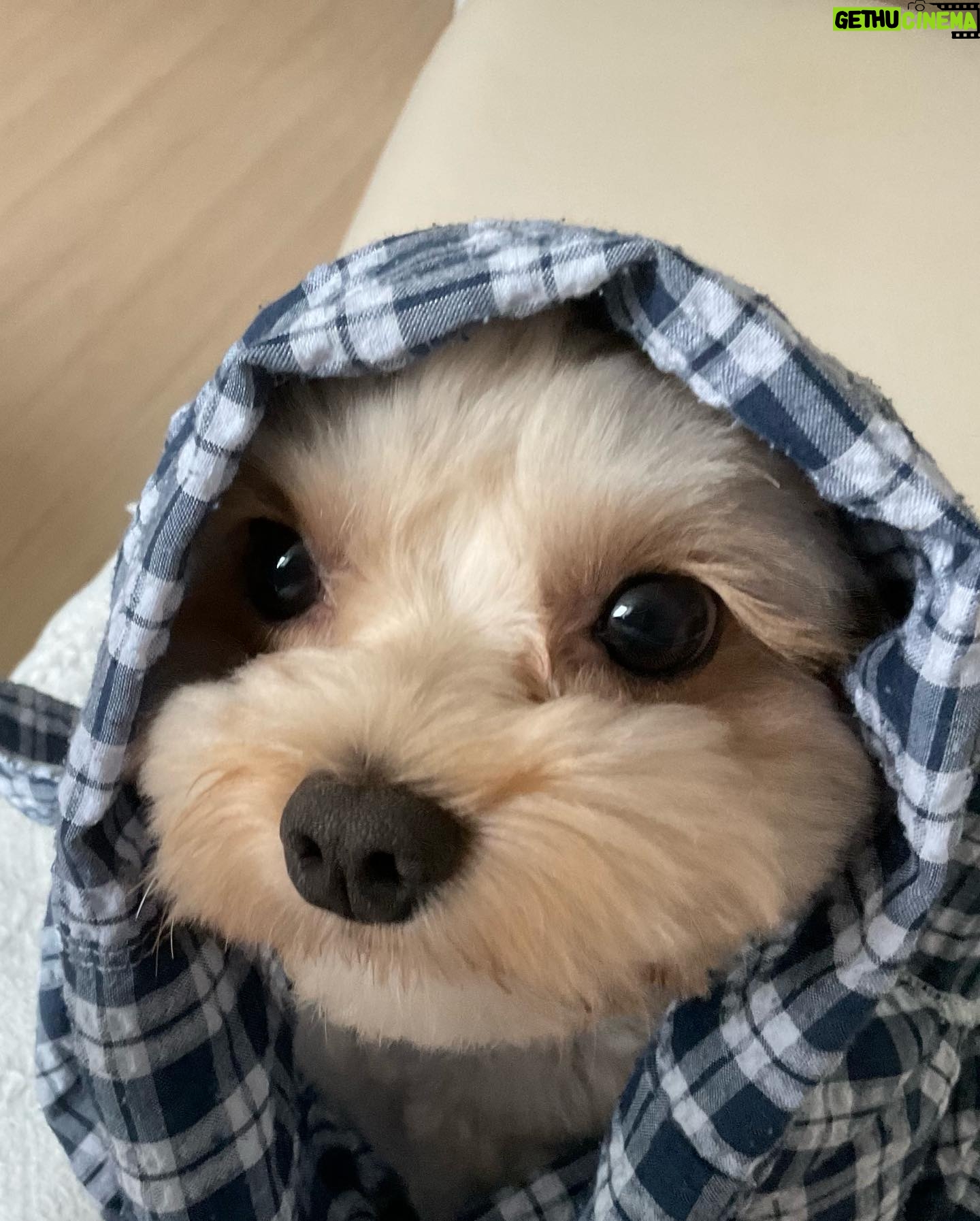 Kwon Hwa-woon - 27.3K Likes - 강철체력