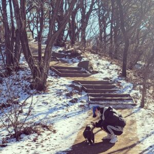 Kwon Soo-hyun Instagram - 가지마 예쁜 청계산 돼냥아🐱
(뭘 먹고 저렇게 퉁퉁해졌지... 나 같다)