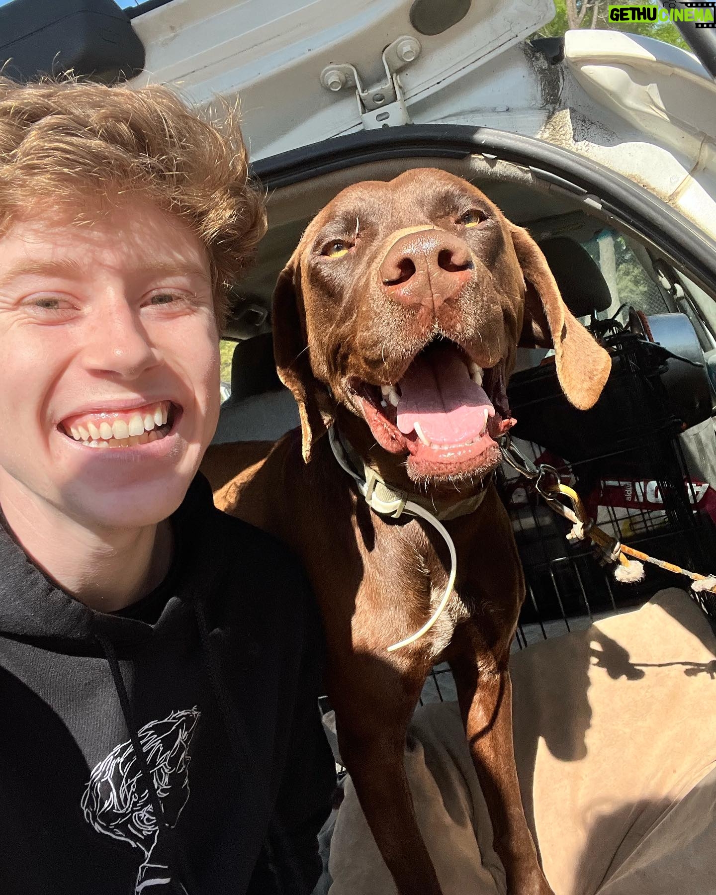 Ky Baldwin - 4.8K Likes - HAPPY UPDATE!!! Moose is on his way to a rescue that specializes in re-homing his breed (German Shorthaired Pointers) A fellow Aussie (thank you Monica) who saw my post spent hours tracking down a suitable solution, as did we. The situation here is awful. All shelters overflowing so people are dumping dogs. Please never walk past a dog that needs you.
If you would like to help Moose continue his journey please think about donating to https://www.gsp-rescue.org.
Thank you Greg from GSP and @amosrendao, @stuntling for rescuing Moose.
Someone out there is about to find their best friend.