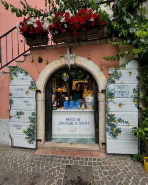 Kyle Cooke Instagram - Personal tour of Lake Garda from the Italian stallion himself @andreadenver