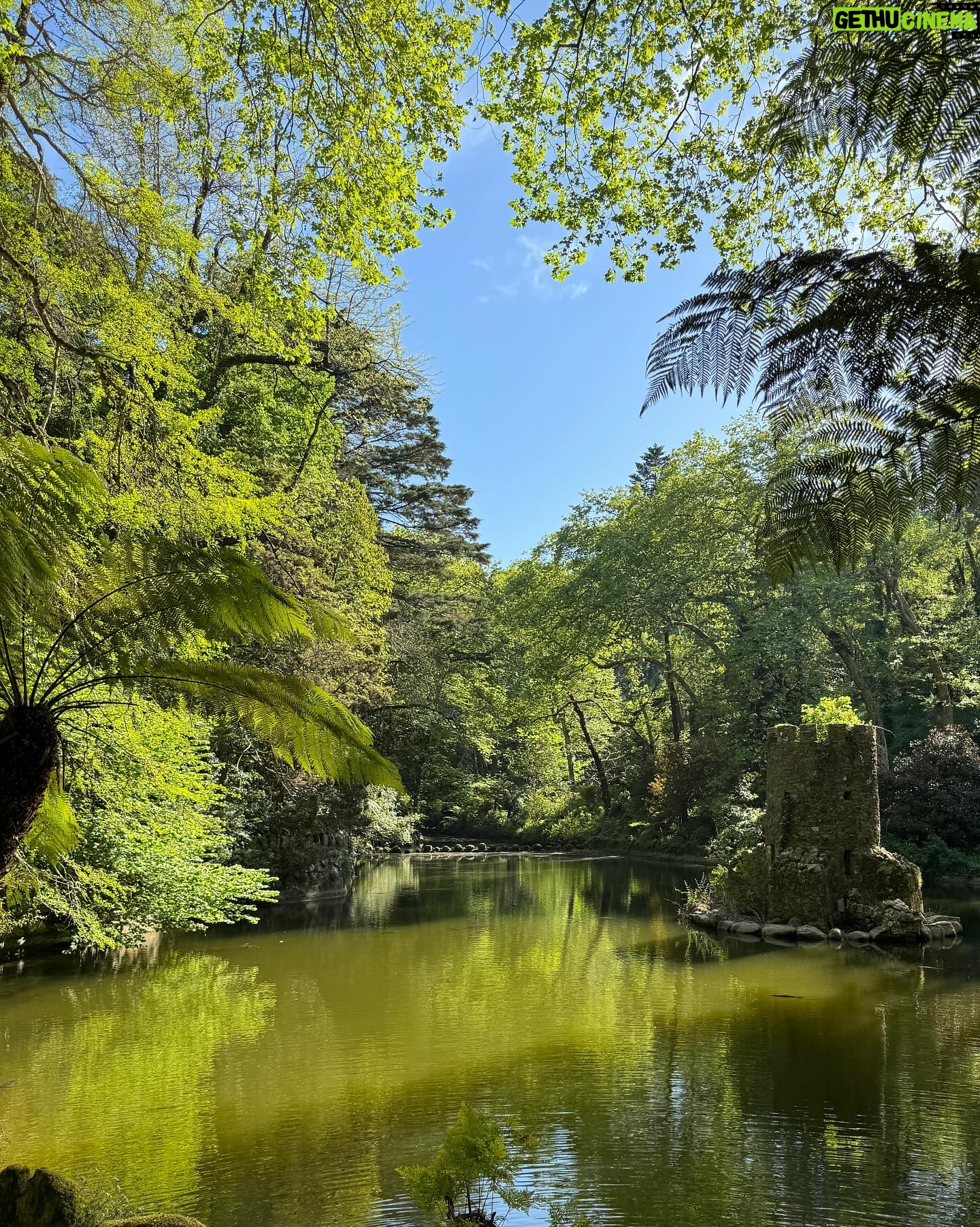 Kyle Cooke - 59.3K Likes - Sintra 🇵🇹🥂🏰