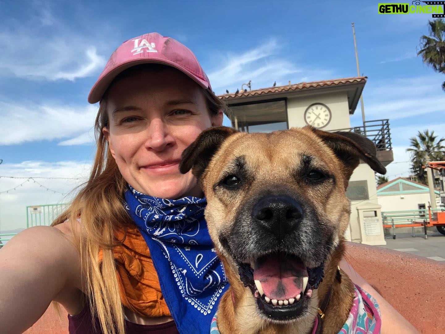 Kym Jackson - 266 Likes - Last beach day with the Priss.... my little mischief maker.
Lead with the better pic of Priss over the better pic of me 🙈 #truelove
Did you know dogs can do an entire poop made of sand? Neither did I... #nowyouknow
#doggo #pupper #beachday #pooch #mydoggie #dogs #dogsofinsta #missthis #prissyjackson