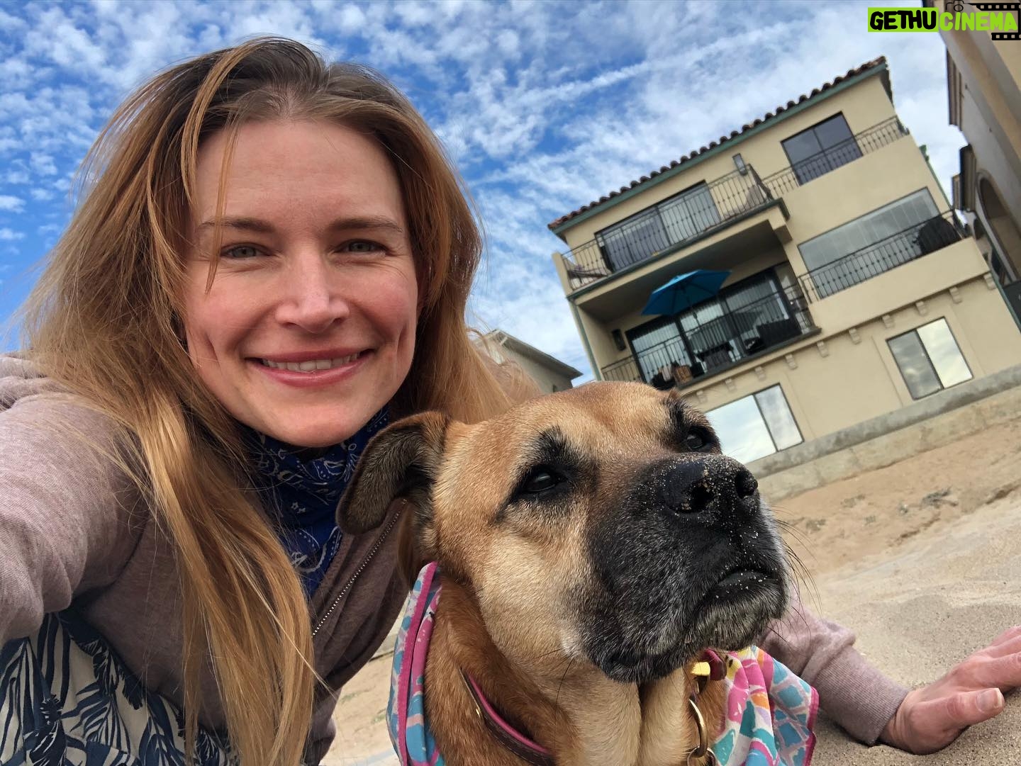 Kym Jackson - 266 Likes - Last beach day with the Priss.... my little mischief maker.
Lead with the better pic of Priss over the better pic of me 🙈 #truelove
Did you know dogs can do an entire poop made of sand? Neither did I... #nowyouknow
#doggo #pupper #beachday #pooch #mydoggie #dogs #dogsofinsta #missthis #prissyjackson