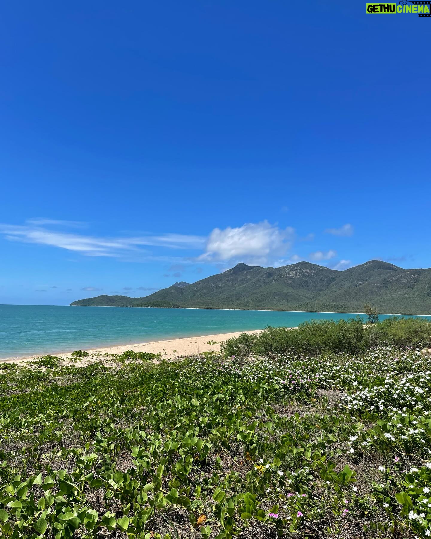 Lachlan Buchanan - 3 Likes - Ok so the #Whitsundays is pretty alright…. 🏝️
#FarNorthQueensland #GreatBarrierReef #Australia #Summer #NewYears #2024 #familyphotography