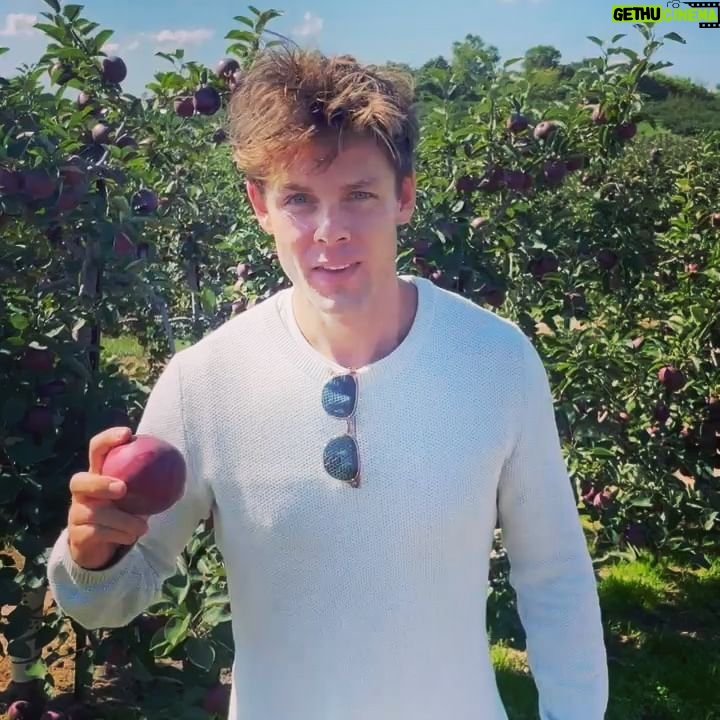 Lachlan Buchanan - 3 Likes - Orchards 🍎
Wineries 🍷 (maybe too many)
Pies 🥧
Mates 🧑🌾
That’s a solid weekend right there 💪🏻
#Michigan #Fennville #Countryside #applepicking #winery #mates #goodtimes #idiots