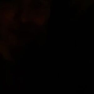 Lane Toran Instagram - A truly happy birthday #39