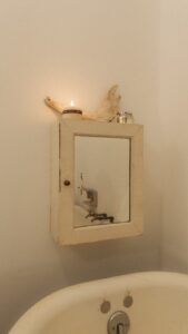 Lane Toran Instagram - My favorite bathroom finds and what they cost $
.
.
.
.
.
.
.
.
#bathroom #remodel #housetour #aesthetic #altbau #myeclectichome #apartmenttherapy #mysecondhandhome
#handmadehome #myvintagehome #cozy #cozyhome #interiorstyling #interiordesign #bohostyle #boholiving #readingspot
#somewhereiwouldliketolive #industrial #minimalist #clawfoot #clawfoottub #antique