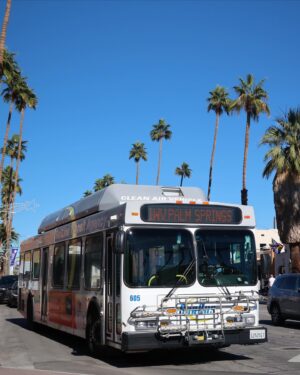 Lang Khê Tran Instagram - 1 breakfast with morning light 
2 @theofficialmads 
3 bus at Palm Springs 
4 @sparrowslodge 
5 parking lot wearing @chimyen_official 
6 dessert au chocolat 
7 found a random hat