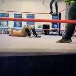Laredo Kid