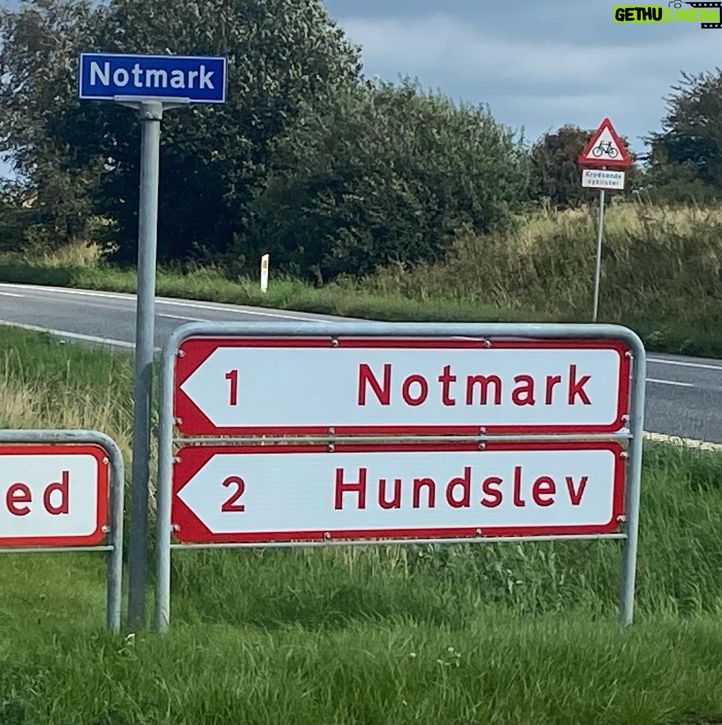 Lasse Rimmer - 2.3K Likes - Altså, @denmarklefevre er uerstattelig, klart nok. Men hvis nu, bare hvis en af Stormester-opgaverne en dag koster ham livet… så er det da meget rart at vide, hvor jeg hurtigt kan skaffe 1 Not-Mark.
