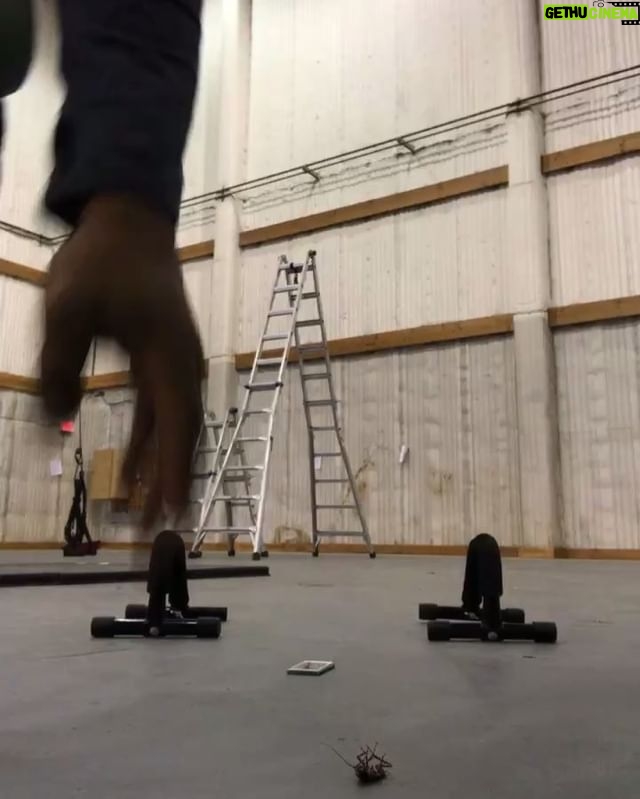 Lateef Crowder - 1.5K Likes - Roaches were messing up my training but my bro @shahaub was on the job! He was on his 2nd hunt in the background . No games out here!😂😂 meu irmão @shahaub caçando baratas enquanto eu treino! 😂
#treino #capoeira #funbeforework #training #roaches #roachhunting #persianstyle #baratas #caçadordebarata #fitness #bananeira #conditioning #roachcoach #lateefcrowderdossantos #brasil #iran #usa 🇧🇷