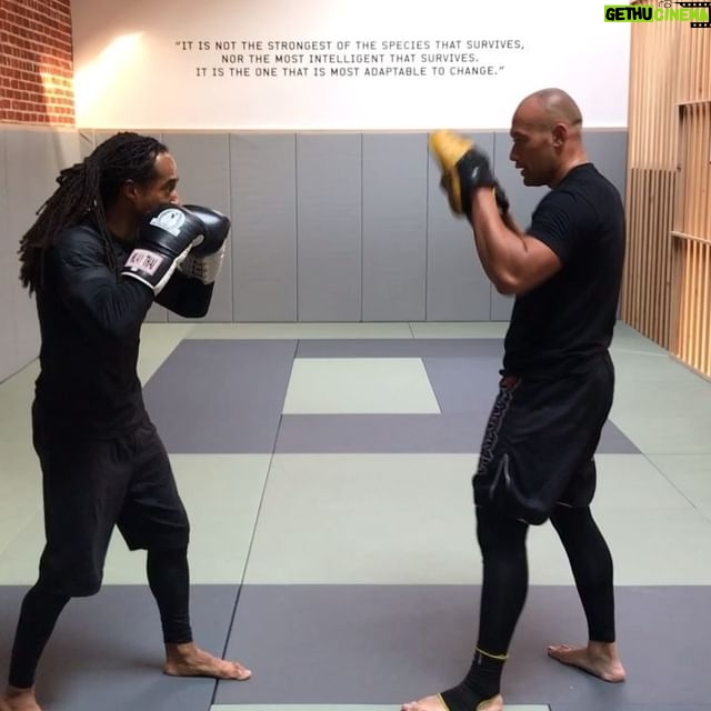 Lateef Crowder - 2.2K Likes - Parte 2. @enele.m #training #lateefcrowderdossantos #creating #flowing #fitness #capoeira #treino #martialarts #artesmarciais #therapysundays #boxing #warmingdown