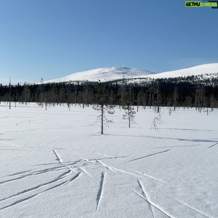 Laura Lepistö - 2.5K Likes - 📍Ylläksen ympäri
Kovasti on kyselty Ylläksen hiihtovinkkejä, joten tässäpä meidän lemppari.🫶🏼 Tallenna kevätlatuja tai ens talvea varten!☀️❄️
Jos haluat yhden pidemmän hiihtoretken tehdä kiireettä, niin hiihdä Ylläksen ympäri. MUTTA! Ehdottoman tärkein pointti on että menet oikeaan suuntaan eli vastapäivään.☝🏼😅 Eli Isomettän nousu kun vedetään ylöspäin, niin siihen suuntaan kiertäessä saa nautiskella reitin aikana enemmän laskuista ja meno on mukavampaa.😎
Me kun lähdetään Äkäslompolosta liikkeelle, niin Isomettän 1,5km noususta saa hyvän alkulämmön päälle.😁🔥 Pitstopit on tietty tärkein suunnitella etukäteen, sillä latukahvilan munkki on hiihtoretken must. Sopivina pysähdyspaikkoina toimii vaikkapa Aurinkotupa ja Latvamaja.
Kilsoja koko reitistä tulee reilu 30, mutta itselle ainakin näin telkkarista matkitulla sinne-päin-tekniikalla ja hyvällä peruskunnolla reitti on tosi mukava kun pitää vauhdin ja sykkeet maltillisena ja muistaa tankata.
Swaippaa seuraaviin kuviin jossa reitti kartalla, ja stoorien puolella myös muutamat fiilikset reitin varrelta. Tee tää kiireettömänä päivänä ihanasta kelistä nauttien!☀️❄️
#ylläs #hiihto #hiihtovinkit #ylläsvinkit #visitylläs #visityllas #ylläksenympäri #maastohiihto #xcskiing #lapland #visitlapland #finnishlapland #lappi #lappivinkit