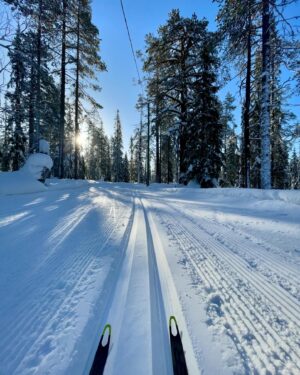 Laura Lepistö Instagram - 📍Ylläksen ympäri 
Kovasti on kyselty Ylläksen hiihtovinkkejä, joten tässäpä meidän lemppari.🫶🏼 Tallenna kevätlatuja tai ens talvea varten!☀️❄️

Jos haluat yhden pidemmän hiihtoretken tehdä kiireettä, niin hiihdä Ylläksen ympäri. MUTTA! Ehdottoman tärkein pointti on että menet oikeaan suuntaan eli vastapäivään.☝🏼😅 Eli Isomettän nousu kun vedetään ylöspäin, niin siihen suuntaan kiertäessä saa nautiskella reitin aikana enemmän laskuista ja meno on mukavampaa.😎

Me kun lähdetään Äkäslompolosta liikkeelle, niin Isomettän 1,5km noususta saa hyvän alkulämmön päälle.😁🔥 Pitstopit on tietty tärkein suunnitella etukäteen, sillä latukahvilan munkki on hiihtoretken must. Sopivina pysähdyspaikkoina toimii vaikkapa Aurinkotupa ja Latvamaja.

Kilsoja koko reitistä tulee reilu 30, mutta itselle ainakin näin telkkarista matkitulla sinne-päin-tekniikalla ja hyvällä peruskunnolla reitti on tosi mukava kun pitää vauhdin ja sykkeet maltillisena ja muistaa tankata. 

Swaippaa seuraaviin kuviin jossa reitti kartalla, ja stoorien puolella myös muutamat fiilikset reitin varrelta. Tee tää kiireettömänä päivänä ihanasta kelistä nauttien!☀️❄️

#ylläs #hiihto #hiihtovinkit #ylläsvinkit #visitylläs #visityllas #ylläksenympäri #maastohiihto #xcskiing #lapland #visitlapland #finnishlapland #lappi #lappivinkit