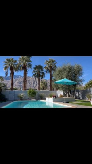 Laura Niemi Instagram - Happy Thanksgiving weekend from sunny Palm Springs 🌴 Soaking in the gratitude poolside this year. Sending love out this holiday weekend ☀️