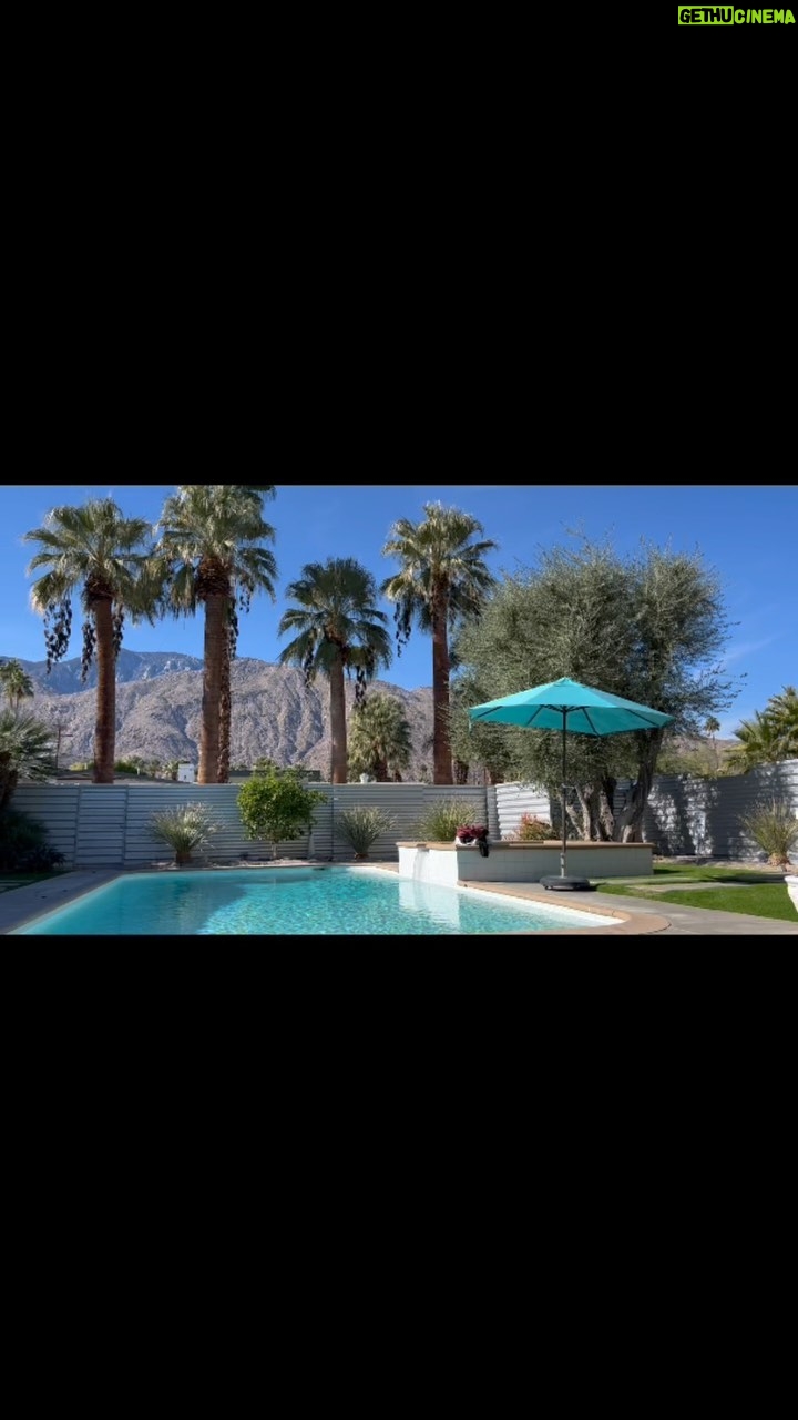 Laura Niemi - 73 Likes - Happy Thanksgiving weekend from sunny Palm Springs 🌴 Soaking in the gratitude poolside this year. Sending love out this holiday weekend ☀️