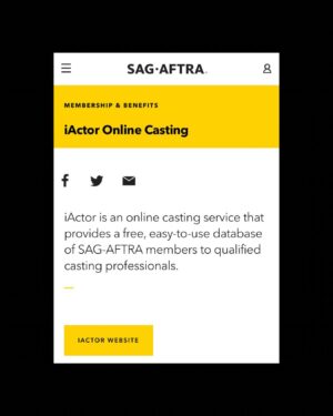 Laura Niemi Instagram - It’s time @sagaftra  It’s time to start utilizing what has been on our site for decades unused, underfunded and unchecked. As a union we should never have actors having to pay to play. It’s time to keep this strong momentum we have as a union and capitalize on this moment. #iActor2024 💥 
.
.
@officialfrandrescher