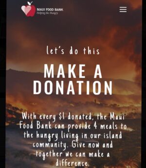 Laura Prats Instagram - Missing beautiful Hawaii…🩵💙and feeling heartbroken for this catastrophe…
If you can donate or help in any way, here is a place where you can do it: @mauifoodbank 
💙🩵