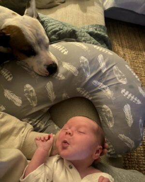 Laura Vissaritis Instagram - “Oooooo Harry, you’re on my nursing pillow!”