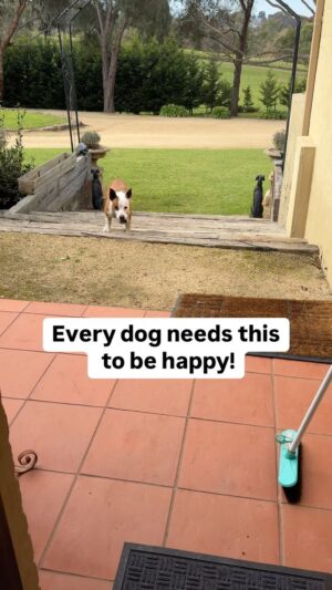 Laura Vissaritis Instagram - 
