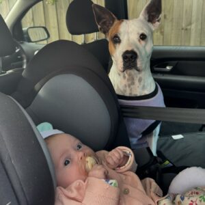 Laura Vissaritis Instagram - Carefully and respectfully include your dogs in your family. They are your family too. 

Problems between dogs and children arise when care and respect are not core and centre of the relationship. That is always up to you… the parent, the guardian, the advocate.