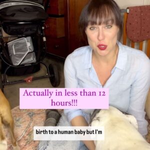 Laura Vissaritis Instagram - Yep, I’m about to have a baby!! 
In collaboration with the awesome pet insurance team from @knose.pet.care I’ve listed my top tips for preparing the furkids for a new arrival. 

And… You might be surprised by some of them! 

What have you done to prepare your dog for your newborn’s arrival?