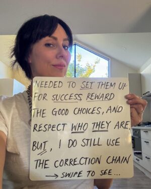 Laura Vissaritis Instagram - Find out how I use the correction chain…