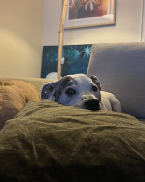 Laura Vissaritis Instagram - One of life’s greatest privileges is to provide a pillow for his head to rest on.
