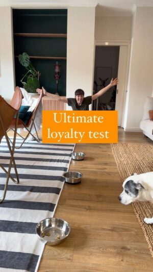Laura Vissaritis Instagram - Will he choose me or fresh food? 

@lykapetfood #freshfood #realfood #ilost