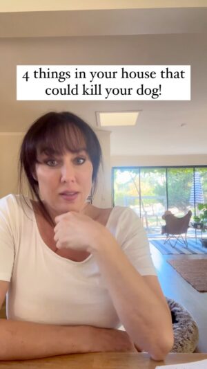Laura Vissaritis Instagram - 