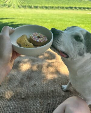 Laura Vissaritis Instagram - Since I can remember, @debortoliyarravalley have been big supporters of @3aw693, so we wanted to see what it was all about.
If you love scenic views, scrumptious food, excellent service, beautiful wine (I didn’t have any #babyonway) and space for your best 4 legged friend to explore, then we highly recommend. Chester even got special snacks. We will be back!