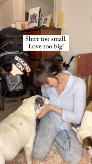 Laura Vissaritis Instagram - My snortlepig