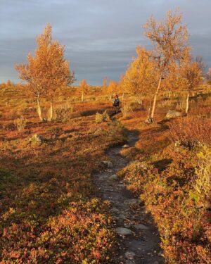 Laura Voutilainen Instagram - Kevo valloitettu 63 km. Tää kuvasarja yrittää kertoa mitä koettiin, ja tosiaan KAIKKEA saatiin. Aurinkoa, ruskaa, tuskaa, sadetta, tuulta, energian puutetta, rinkan purkamista ja täyteen tunkemista, uusia taitoja, ihmeellisiä maisemia, ahavoitunutta naamaa, kostean ja kylmän yön kestämistä ja paljon muuta. Vielä tunnustelen että tekisinkö uudestaan.. 
-ainakin musiikki kuulostaa ihanalta kun sitä ei ole kuullut missään viikkoon, ja työn touhuun tarttuminen tuntuu nyt mahtavalta!! 
Ihanaa syysviikkoa kaikille ❤️☀️🍁🥰
#kevo 
#vaellus
#kevonkanjoni 
@fjallravenofficial 
Kiitos @pataexplorer 
@outdoortrainer_finland
ja vaellusystäväni Sinikka ja Pälvi ❤️