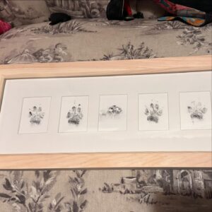 Lauren Hammersley Instagram - She still comes with me ❤️

Thank you @jennifervdp for the adorable cross stitch of #OhOlive by @headstitchincharge. My skilled carpenter friend Don framed her nose and paw prints for the house and one for the road.  Miss you baby girl.
Edit: the peeps at petite rivière vet hospital, i thank you so very much for your care and these beautiful prints❤️